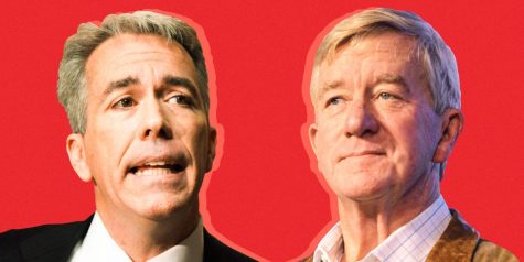 Joe Walsh and Bill Weld, two of the participants in the business insider primary republican debate, intend to dethrone the president, despite their little known status. how to watch gop debate 2020 2x1
Manuel Balce Ceneta/AP Images; Gage Skidmore; Samantha Lee/Business Insider