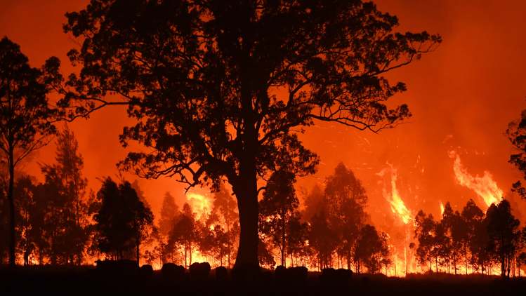 While North Carolina has quickly turned cold this month, wildfires have taken over dry Australian landscapes. Credit: NICK MOIR